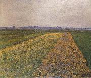 Gustave Caillebotte Yellow field painting